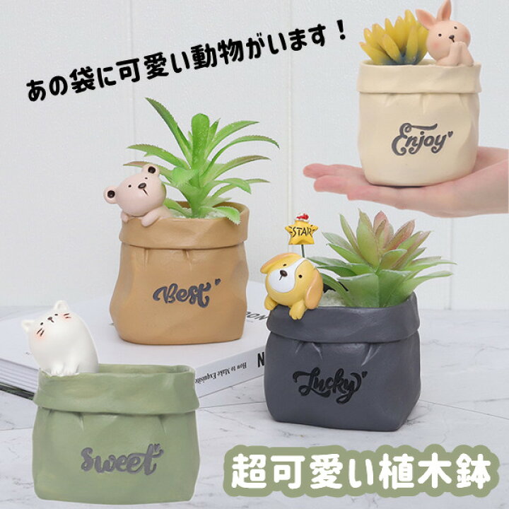 楽天市場】プランター 植木鉢 ミニ 多肉 苔 コケリウム 苔リウム 箱庭 