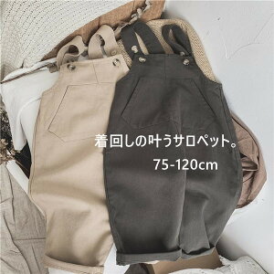 I[o[I[ Tybg LbY xr I[C[ ̎q j̎q t  H LbY LbY WjA   pc  R[f ₷ AEghA Cx