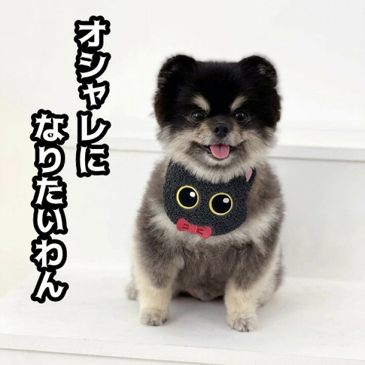 楽天市場】ペット用 よだれかけ ハロウィン ゾンビ カボチャ 黒猫 幽霊  