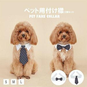 t 2Zbg ybgpt ybgEGA ybg   IV O\ pȒP p Lp  ˂ hbO ybg  ybgG  tH[}