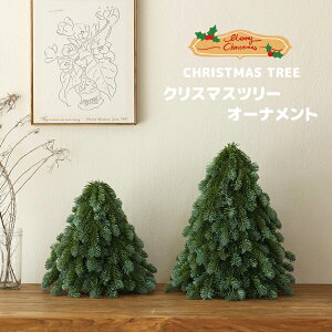 NX}X NX}Xc[ NX}Xi NX}Xc[ I[ig NX}XI[ig u  CeA JCC IV q  k v[g  G