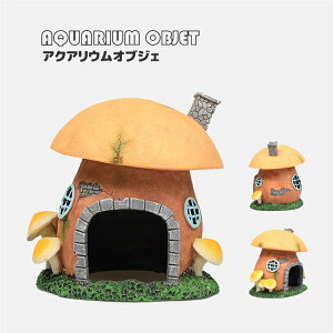 LmR ANAEIuWF ANAEi  i I[ig v[g  G u   A JCC k RpNg  {