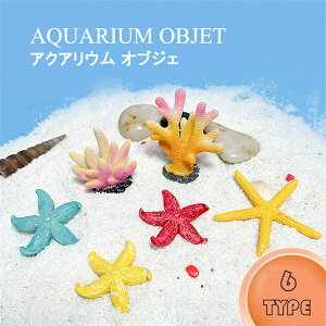 TS qgf ANAEi   ANAEIuWF  I[ig v[g  G u   A k RpNg  {