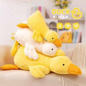 ܂ NbV _bN ʂ ʂ NbV 75cm 100cm 120cm NbV  ʔ   tt ObY   K v[g 