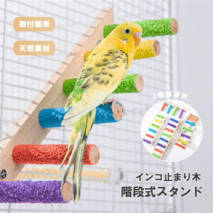 ~܂ CRX^h pp[` VR tȒP P[Wu pi IE CR ybg  P[WX^h  ܂Ƃ  R P[W~܂ ؐ Jt IJ