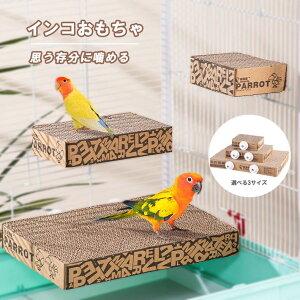 ̂ CR  o[hgC   XgX pߋ i{[f IJCR ZLZCCR SV{^CR ERCR ^̃CR p p