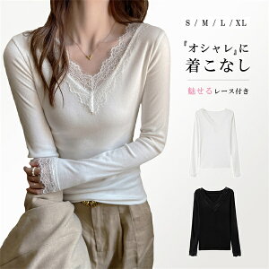 [X  {fBR ^Cg X^CbV Ci[ vlbN fB[X     H~  d˒ C[h gbvX wl  fB[XCi[ v[