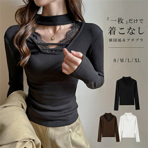 yԌN[|zzz[Xt  gbvX H~Ci[ Z {fBR ؍ fB[XCi[ Z[^[ TVc   X^CbV 3F  H~ 