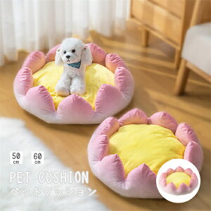 xbh NbV @ @ ybgNbV ybgxbh LNbV NbV H ~ p Lp 2TCYI LObY ObY 킢 ybgpi 낢