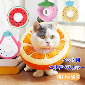 ʕ GUxXJ[ \tgGUxXJ[  L ybg y _炩 炩 r r h~  ی p  PK aC p 킢  ӂӂ  p  ی 