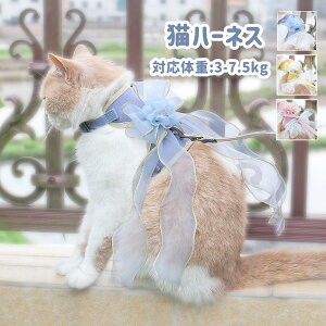 L n[lX [hZbg ybgn[lX ybg[h Lpi ybgObY L[h Lp U o v[g Mtg y [hZbg L    ߉\  