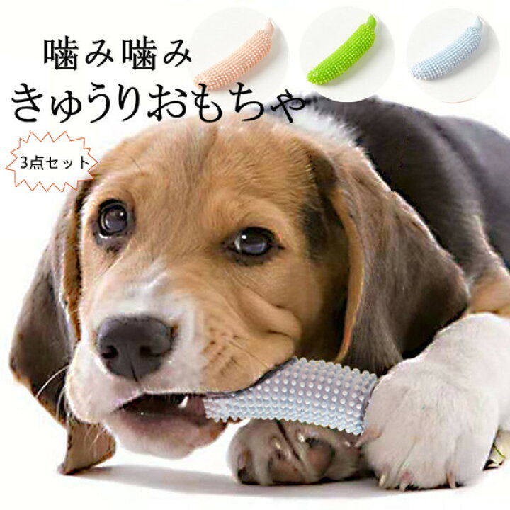 楽天市場 犬のおもちゃ 歯ブラシ 歯磨き おもちゃ トイ 大型犬 小型犬 中型犬 チワワ ビーグル シェパード ペット ペット用品 遊び 犬 可愛い 野菜 散歩 プール ペット キュウリ 歯 口 ペット ペットおもちゃ ペット用品 噛む 投げる ストレス 運動不足 解消 いぬ