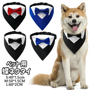 ybgEFA tH[} 悾^I ܎O RXv ߑ RX`[ L ^  hbOEFA ̕ ^ m   ybg p  q pi ybgpi ObY 