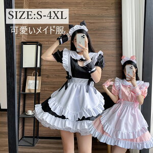 5_Zbg Ch nEB RXv [^ ߑ Y RXv  l [^s[X Chm ubN sN fB[X[^hX i Lolita RXv C