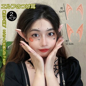 nEB 2yA d̎ d̃RXv t Gt̒ Zbg nEB RXv d  RXv ϐg 傫Ȏ   \ ϑ ߑ ~ t 