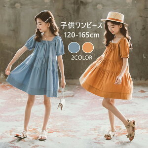 q s[X \ ܎O ̎q  qǂ hX tH[}   ʊw w t WjA LbY K[Y w Ǝ Wp[XJ[g  i ʊw