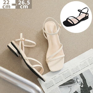 fB[X T_ ėp 킢  r T_ ʋ ItBX l C V[Y ĕ Ȃ q[3cm ~ ɂȂ  ig ubN x[W 22cm 22.5cm 23cm 23.5cm 24cm