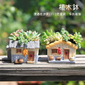 【8%OFFクーポン】多肉植物鉢 植木鉢 プランター ミニ 多肉 苔 コケリウム 4color 苔リウム 箱庭 鉢 可愛い おしゃれ サボテン 多肉植物 寄せ植え 置物 装飾用 装飾 インテリア かわいい 樹脂 テラリウム 容器 卓上 ガーデニング グッズ 雑貨 母の日 プレゼント