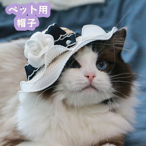 ybgpXq ybgpnbg Lp p ^ hbO ڂ Rt ߉ 悯  O΍ U  킢 o ߂ Ck  L lR ˂ Lbg 