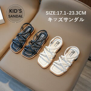 yX[p[SALEzzT_ ̎q LbYT_ qT_ xr[T_ q X|[cT_ xr[T_  y ɂ Snǂ  ItzCg 17.1cm`2