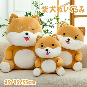 NbV Č ʂ ܂    ߋ 킢 a NX}X v[g  傫  Dw j lC G蔲Q a ܂ 蕨 ӂӂ
