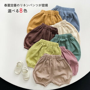 yX[p[SALEzzLbY pc pc Y{ Y{  [Ypc C[W[pc {gX q qǂ j̎q ̎q  킢 Vv i` {g