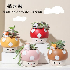 【新作7日限定クーポン配布中】多肉植物鉢 植木鉢 きのこ プランター ミニ 多肉 苔 コケリウム 4color 苔リウム 箱庭 鉢 可愛い おしゃれ サボテン 多肉植物 寄せ植え 置物 装飾用 装飾 インテ