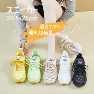 yV7N[|zzzXj[J[ fB[X X|[cV[Y ^C    y Ȃ V[Y C ₷ 􂦂 EȒP fB[X Xb| 