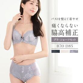 脇高 ブラジャーセット 脇高補正 ブラ&ショーツ セット B C D カップ 70 75 80 85 M L LL 3L 大きいサイズ バストアップ 美バスト 盛れる 谷間 ソフトワイヤー 痛くない ふんわり 補正 補正ブラ 美胸 ショーツ 上下セット 盛れる 補整 締め付けない 楽ちん 脇肉 レース