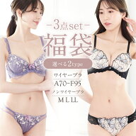 ブラ ショーツ 福袋 下着 セット ブラセット 3点セット 2026 上下セット ブラジャー ショーツ セット お…