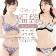 ブラ ショーツ 福袋 下着 セット ブラセット 3点セット 2026 上下セット ブラジャー ショーツ セット お…