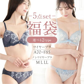 ブラ ショーツ セット 福袋 ブラセット 5点セット 福袋 上下セット5枚セット ブラジャー ショーツ レディース おまかせ A B C D カップ セクシー フェミニン かわいい ワイヤー入り 刺繍 レース 濃色 淡色 花柄 女性 下着 65 70 75 80 85 選べる 2タイプ 大きいサイズ