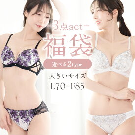 E F カップ 大きいサイズ ブラセット レディース 3点セット 福袋 2026 下着 ブラジャー ショーツ セット 上下セット 3枚セット ブラショーツ おまかせ セクシー フェミニン ブラ ショーツ かわいい ワイヤー入り 刺繍 レース 花柄 女性 70 75 80 85 選べる 2タイプ