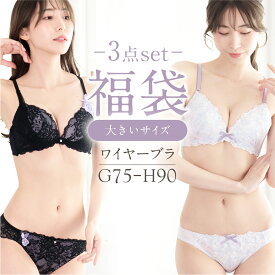 G H カップ 福袋 大きいサイズ ブラ ショーツ 3点セット 2026 レディース 下着 ブラセット ブラジャー ショーツ セット 上下セット おしゃれ Gカップ Hカップ おまかせ セクシー フェミニン かわいい ワイヤー入り 刺繍 レース 75 80 85 90 3枚組 ブラショーツ セット