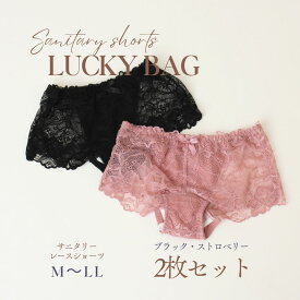 サニタリー ショーツ 2枚セット レディース レース 吸水 防水 M L LL 大きいサイズ 伸縮性 通気性 お洒落 かわいい 高級 シンプル 深め 肌触り 履き心地 無地 ストレスフリー 生理用 漏れない ボクサー 可愛い20代 30代 40代 50代 ブラック ストロベリー ジュニア