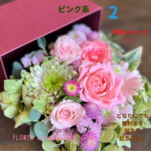 ̓ v[g a   j v[g J[ ̂܂܏ G߂̉؂₩t[AWg L Mtg  LO ޏ   t[ Ԋ z {