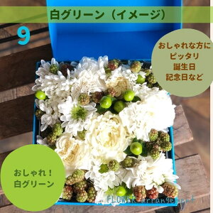 ̓ v[g a   j v[g J[ ̂܂܏ G߂̉؂₩t[AWg L Mtg  LO ޏ   t[ Ԋ z {