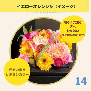 ̓ v[g a   j v[g J[ ̂܂܏ G߂̉؂₩t[AWg L Mtg  LO ޏ   t[ Ԋ z {