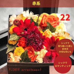 ̓ v[g a   j v[g J[ ̂܂܏ G߂̉؂₩t[AWg L Mtg  LO ޏ   t[ Ԋ z {