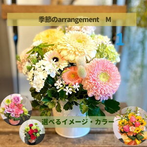 yBElEnz  Mtg i` CeA 蕨  a j j IׂX^C t[AWg J[h bZ[WJ[h Mtg  