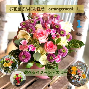 ̓ v[g a   j v[g C ̂܂܏ G߂̉؂₩t[AWg L Mtg  oY ޏ   t[ Ԋ z Dy