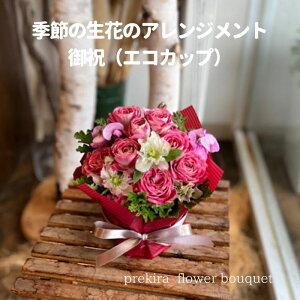 ̓ v[g a   j v[g C ̂܂܏ G߂̉؂₩t[AWg L Mtg  oY ޏ   t[ Ԋ z Dy