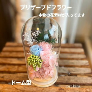 hV̓ j Ê җ  P Ď   a LO KXh[     z  ̂܂܏  Ԋ {[ ̂ D ĎD o 