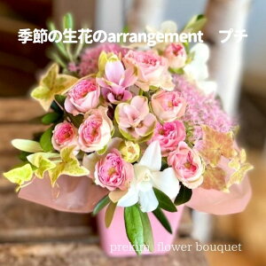 ̓ v[g a   j v[g J[ ̂܂܏ G߂̉؂₩t[AWg L Mtg  LO ޏ   t[ Ԋ z {