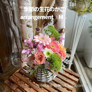 ̓ v[g a   j v[g J[ ̂܂܏ G߂̉؂₩t[AWg L Mtg  LO ޏ   t[ Ԋ z {