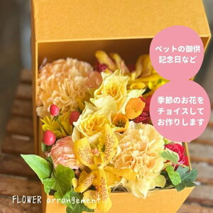 yBElEnzԃAWg av[g j NX}X t[Mtg o^C zCgf[ v[g Ȃւ̃Mtg LO } } 