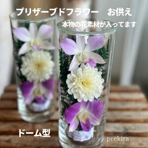   vU[uht[  AWg ݂̉ S߂ ÂȋF ̐lÂ ỉ ̎ D Sމ h[^vU[uh 