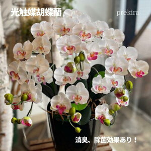 yzӒ3{ Ӓ j 3{ G} VNt[ tFCNt[ t[Mtg ̓ hV̓ ACj a v[g   ͂Ȃ  Vzj 