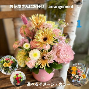 yBElEnzԃAWg av[g j NX}X t[Mtg o^C zCgf[ v[g Ȃւ̃Mtg LO } } 