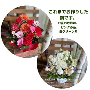 yBElEnzԃAWg av[g j NX}X t[Mtg o^C zCgf[ v[g Ȃւ̃Mtg LO } } 